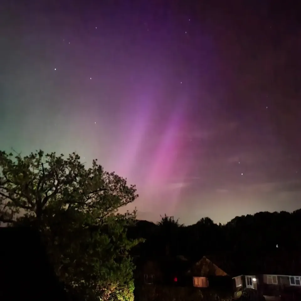 Aurora lighting up the sky above silhouetted trees