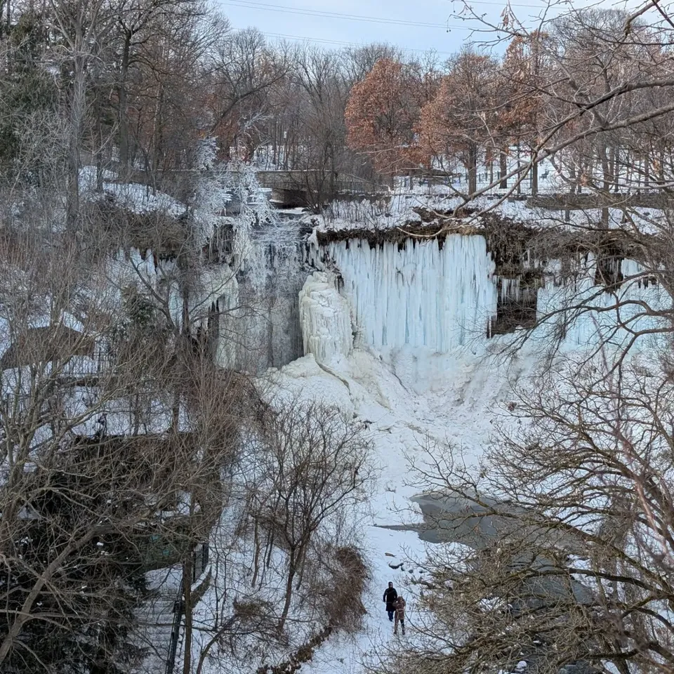 A frozen waterfall in a snowy wooded gorge